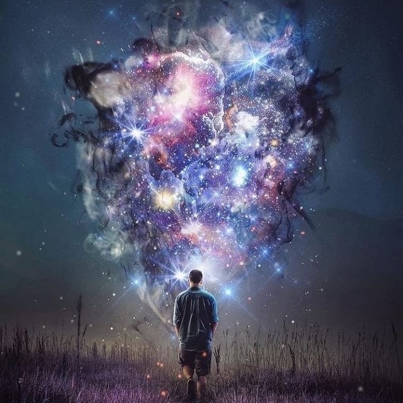 Meet your Posher, Josie - Picture 1 of 1